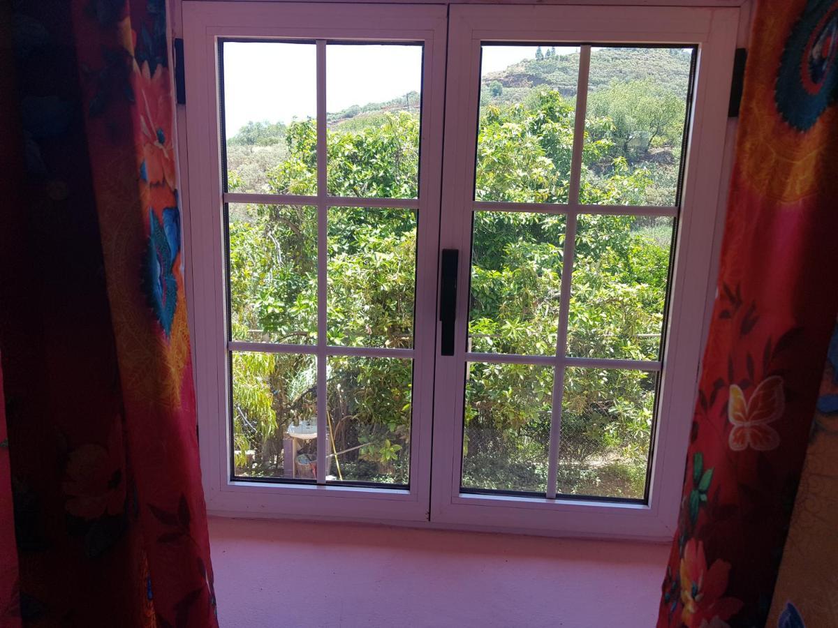 Finca Rural Torres Casas 1 Y 4 Bed & Breakfast Vega de San Mateo Buitenkant foto
