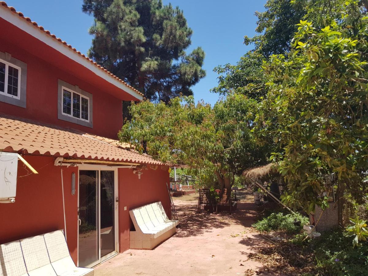 Finca Rural Torres Casas 1 Y 4 Bed & Breakfast Vega de San Mateo Buitenkant foto