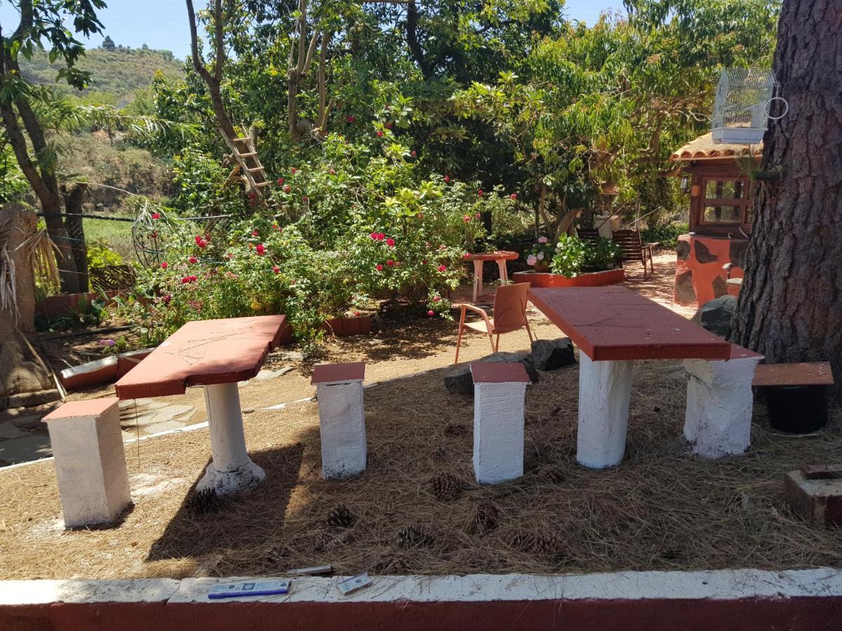 Finca Rural Torres Casas 1 Y 4 Bed & Breakfast Vega de San Mateo Buitenkant foto