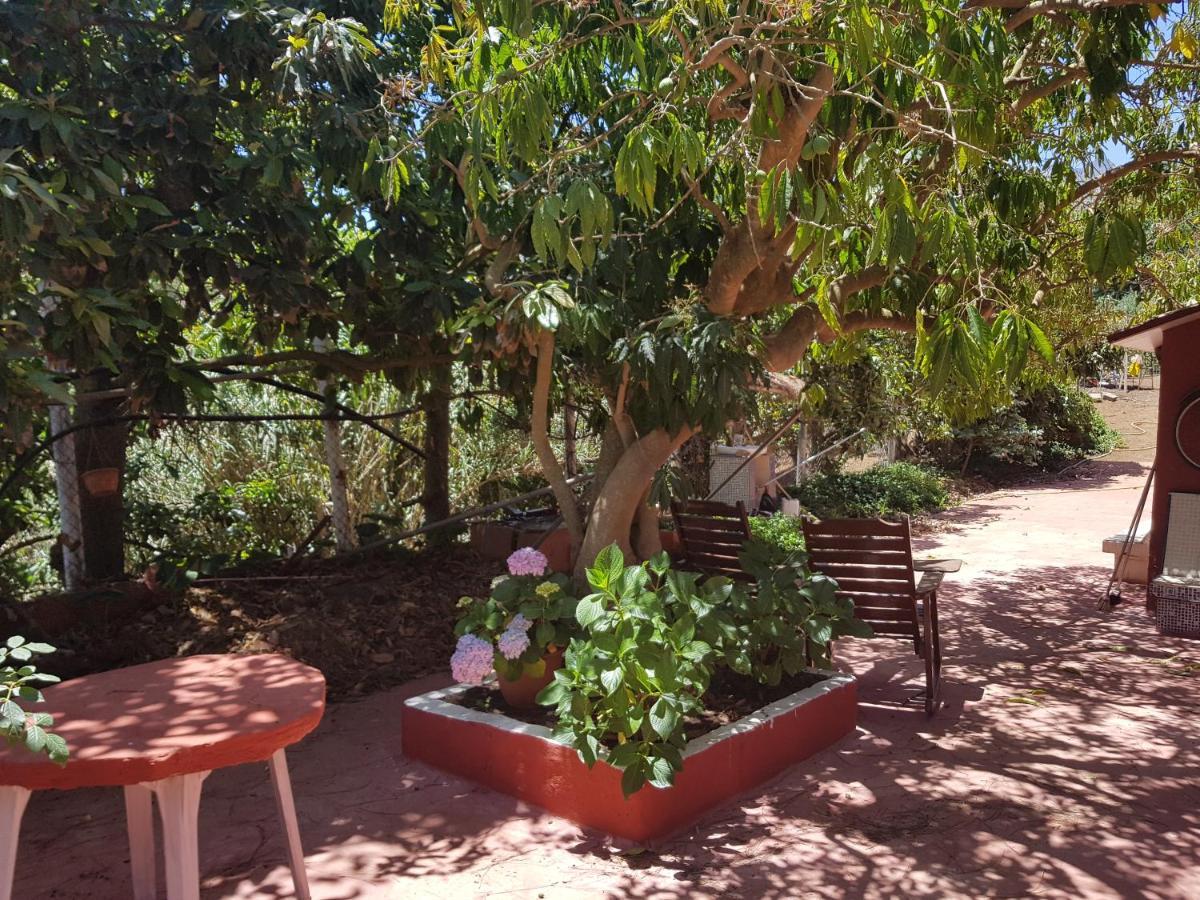 Finca Rural Torres Casas 1 Y 4 Bed & Breakfast Vega de San Mateo Kamer foto
